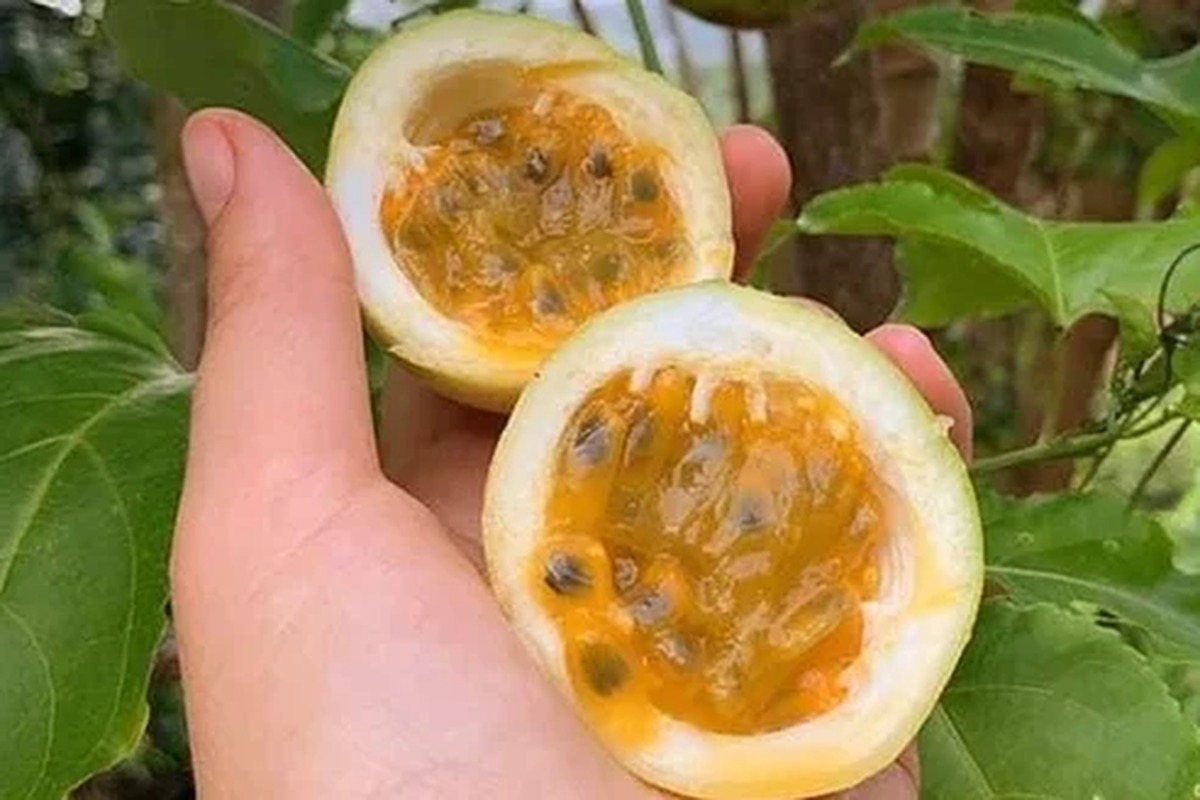 ¿Sufres de diabetes? Haz esto una vez al día para ayudar a normalizar tu azúcar
